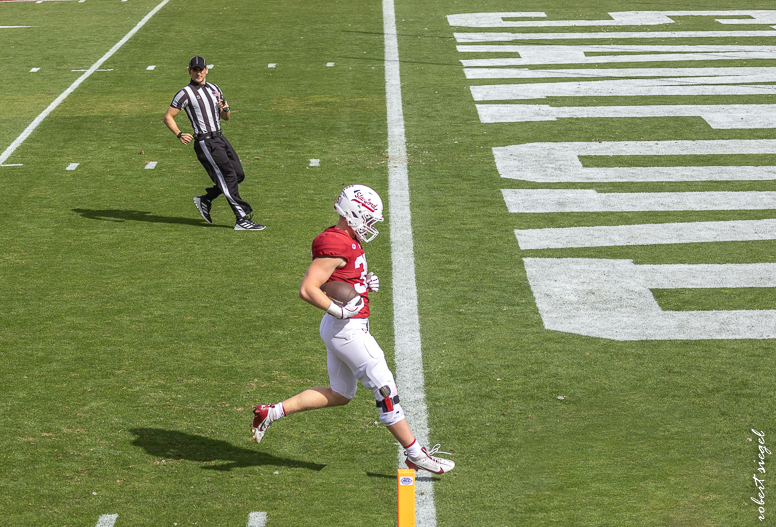 stanford football 2024